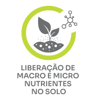 Liberação de Macro e Micro Nutrientes no Solo
